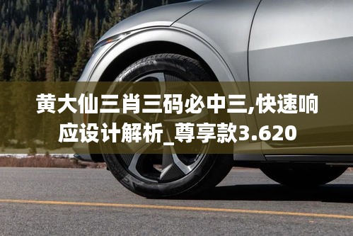 黄大仙三肖三码必中三,快速响应设计解析_尊享款3.620