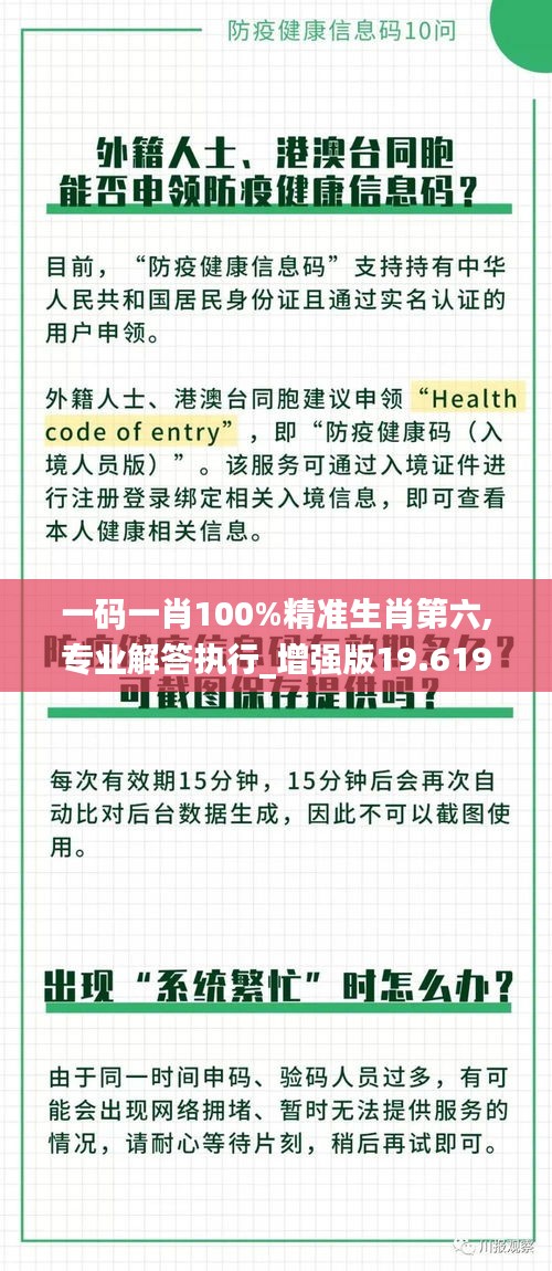 一码一肖100%精准生肖第六,专业解答执行_增强版19.619