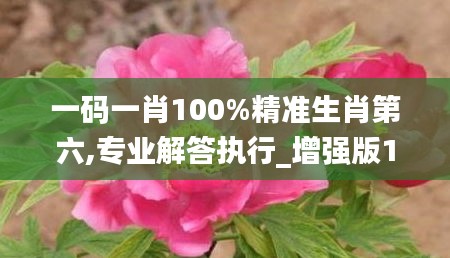 一码一肖100%精准生肖第六,专业解答执行_增强版19.619