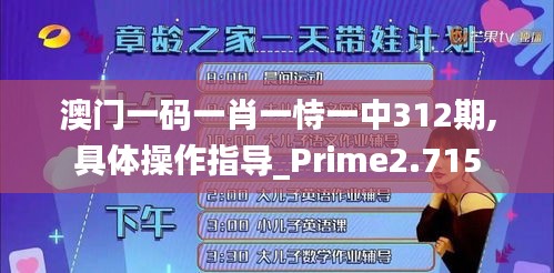 澳门一码一肖一恃一中312期,具体操作指导_Prime2.715