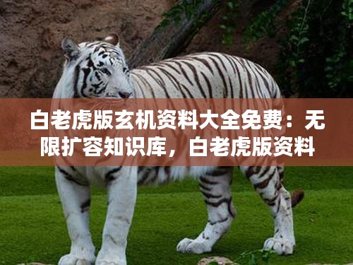 白老虎版玄机资料大全免费:无限扩容知识库,白老虎版资料的免费福利