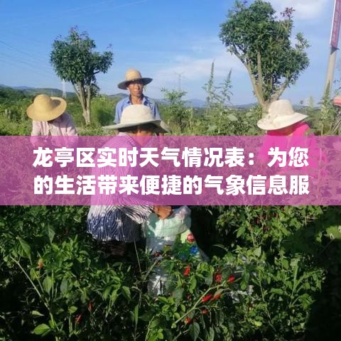 龙亭区实时天气情况表:为您的生活带来便捷的气象信息服务