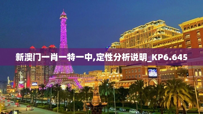 新澳门一肖一特一中,定性分析说明_KP6.645