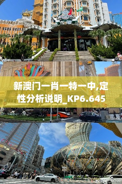 新澳门一肖一特一中,定性分析说明_KP6.645
