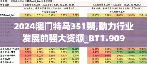 2024澳门特马351期,助力行业发展的强大资源_BT1.909
