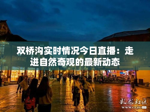 双桥沟实时情况今日直播:走进自然奇观的最新动态