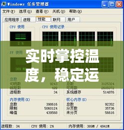 实时掌控温度,稳定运行无忧——CPU显卡温度监控软件深度解析