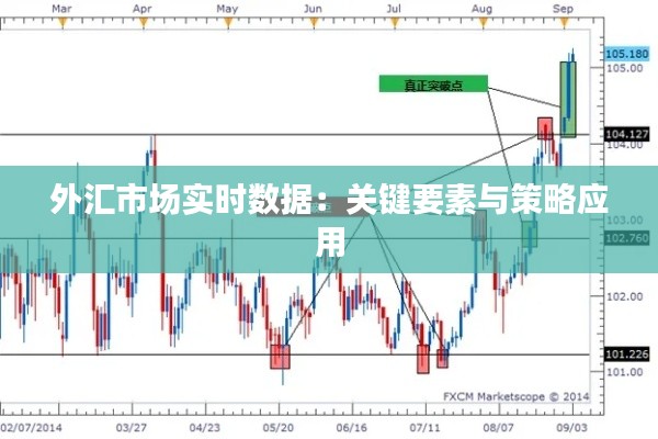 外汇市场实时数据:关键要素与策略应用