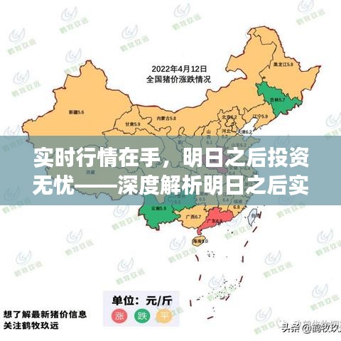 实时行情在手，明日之后投资无忧——深度解析明日之后实时行情查询系统