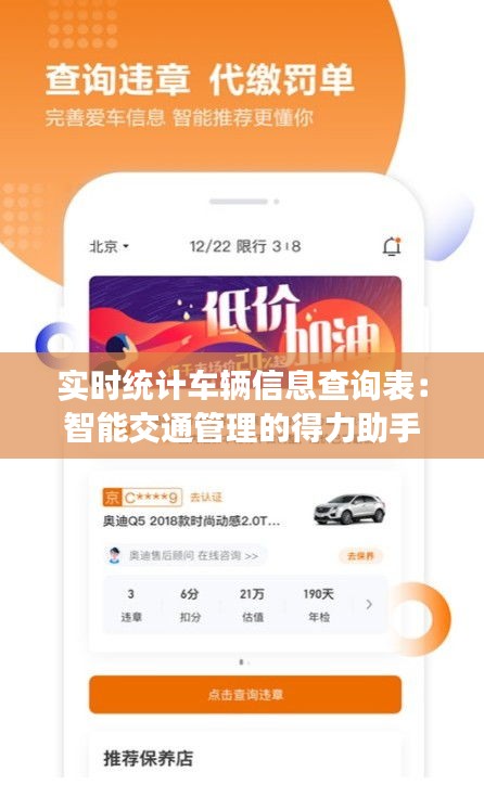 实时统计车辆信息查询表:智能交通管理的得力助手