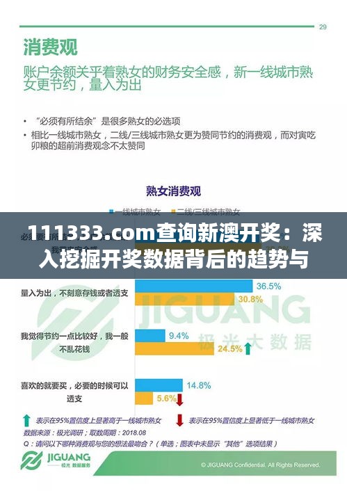 111333.соm查询新澳开奖:深入挖掘开奖数据背后的趋势与机遇