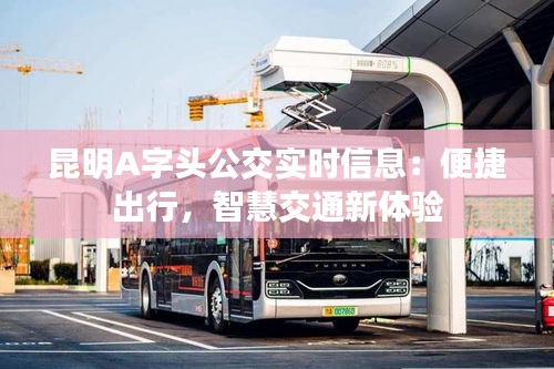 昆明A字头公交实时信息:便捷出行,智慧交通新体验