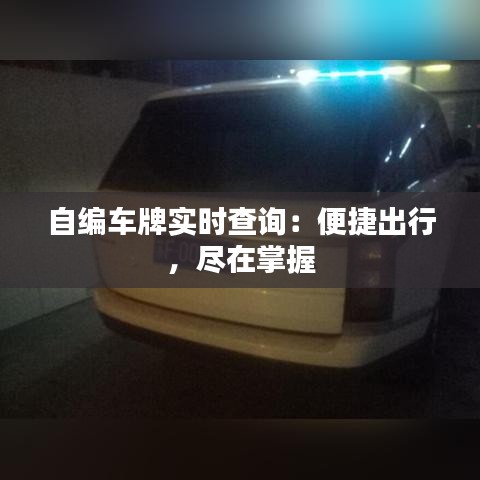 自编车牌实时查询：便捷出行，尽在掌握