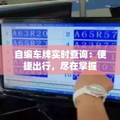 自编车牌实时查询:便捷出行,尽在掌握