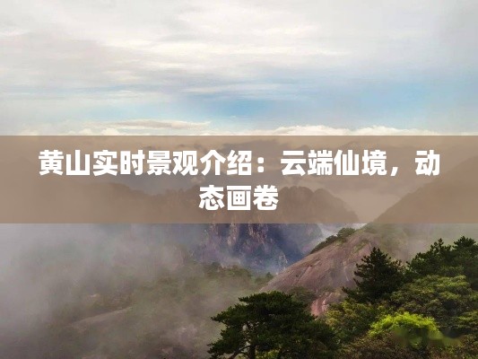 黄山实时景观介绍:云端仙境,动态画卷