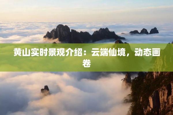 黄山实时景观介绍:云端仙境,动态画卷