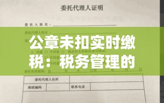 公章未扣实时缴税:税务管理的挑战与应对策略