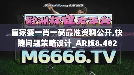 管家婆一肖一码最准资料公开,快捷问题策略设计_AR版8.482
