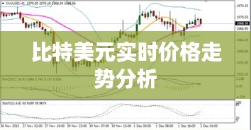 比特美元实时价格走势分析