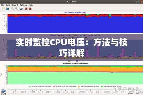 实时监控CPU电压：方法与技巧详解
