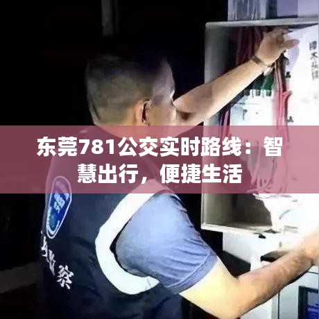 东莞781公交实时路线:智慧出行,便捷生活