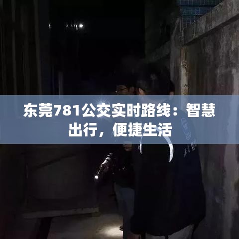 东莞781公交实时路线:智慧出行,便捷生活