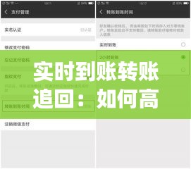 实时到账转账追回：如何高效应对资金安全问题