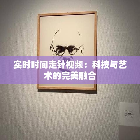 实时时间走针视频:科技与艺术的完美融合