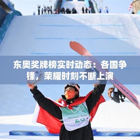 东奥奖牌榜实时动态:各国争锋,荣耀时刻不断上演