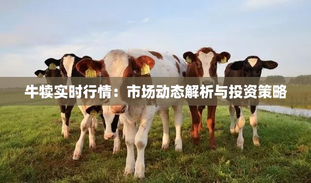牛犊实时行情:市场动态解析与投资策略