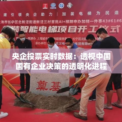 央企投票实时数据：透视中国国有企业决策的透明化进程