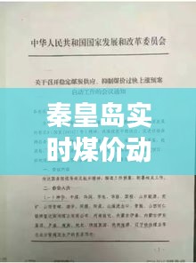 秦皇岛实时煤价动态解析:市场波动与供需影响