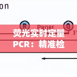 荧光实时定量PCR:精准检测,助力科学研究与临床诊断