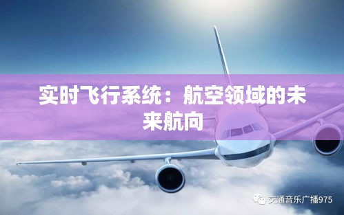 实时飞行系统:航空领域的未来航向