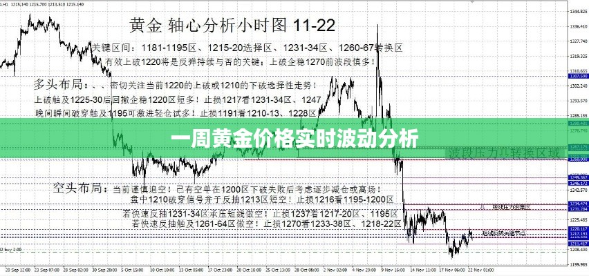 一周黄金价格实时波动分析