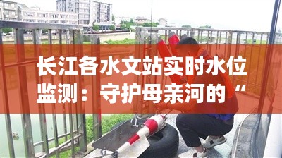 长江各水文站实时水位监测:守护母亲河的“千里眼”