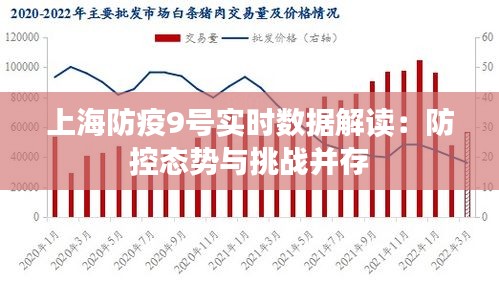 上海防疫9号实时数据解读:防控态势与挑战并存
