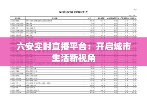 六安实时直播平台:开启城市生活新视角