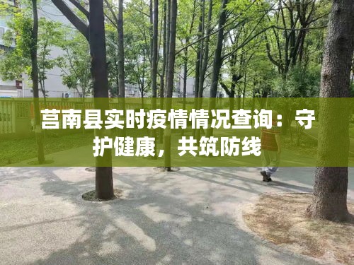莒南县实时疫情情况查询:守护健康,共筑防线