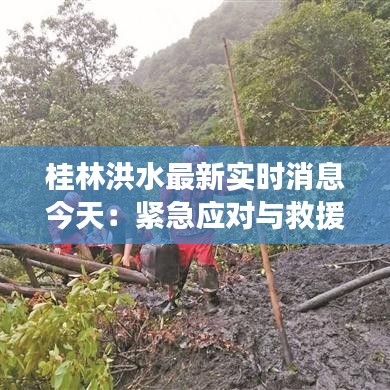 桂林洪水最新实时消息今天:紧急应对与救援行动