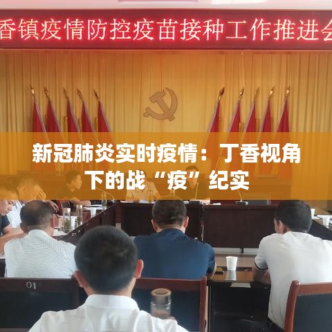 新冠肺炎实时疫情:丁香视角下的战“疫”纪实