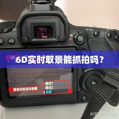 6D实时取景能抓拍吗?