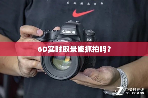 6D实时取景能抓拍吗?
