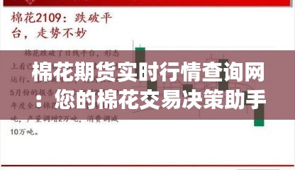 棉花期货实时行情查询网:您的棉花交易决策助手