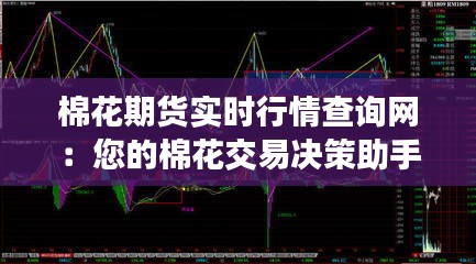 棉花期货实时行情查询网:您的棉花交易决策助手