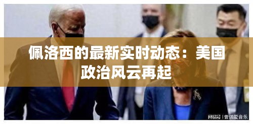 佩洛西的最新实时动态:美国政治风云再起