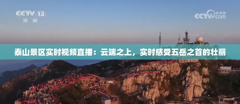 眉清目秀 第5页