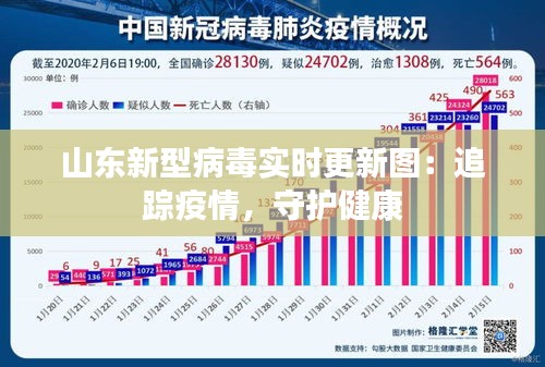 山东新型病毒实时更新图:追踪疫情,守护健康