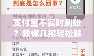 支付宝不实时到账?教你几招轻松解决!