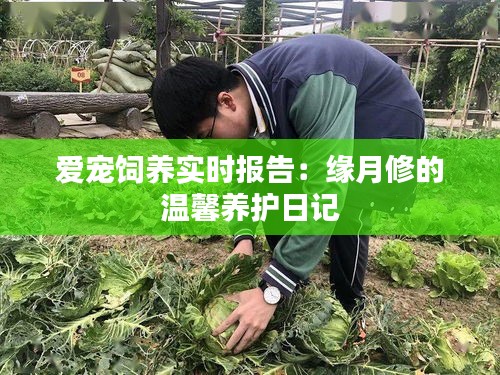爱宠饲养实时报告:缘月修的温馨养护日记